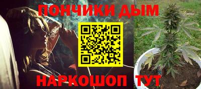 дживик Сланцы