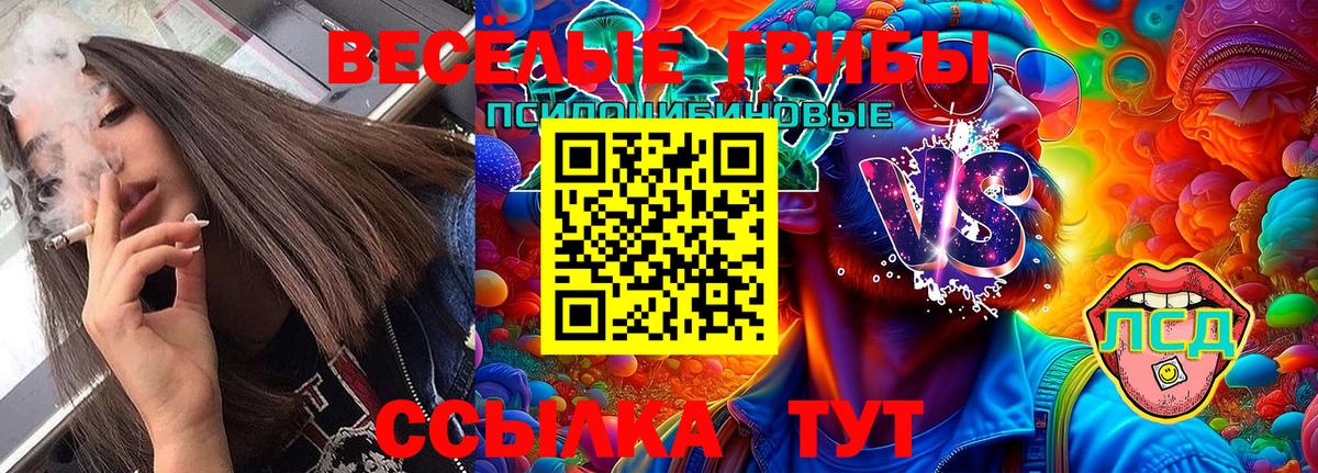 Псилоцибиновые грибы Magic Shrooms  Вход с VPN  Можга 